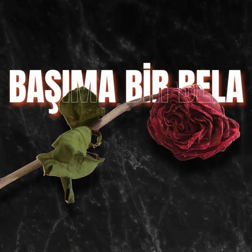 BAŞIMA BİR BELA
