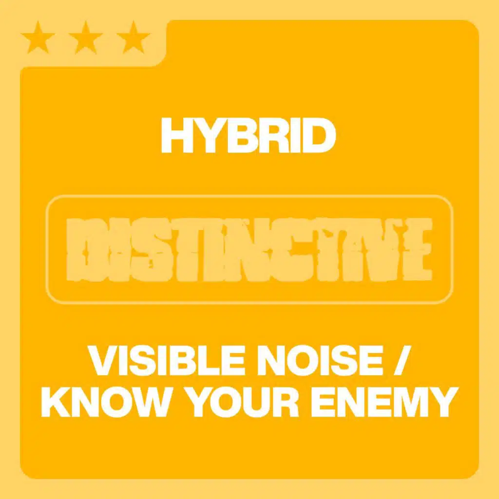 Visible Noise / Know Your Enemy