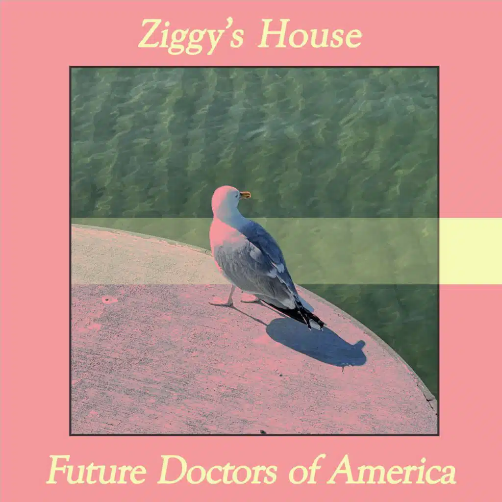Ziggy's House