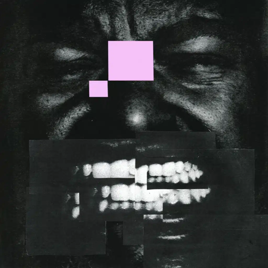 KING KONG FEAT HAWA & THEO CROKER / NO FUTURE /dear freedom