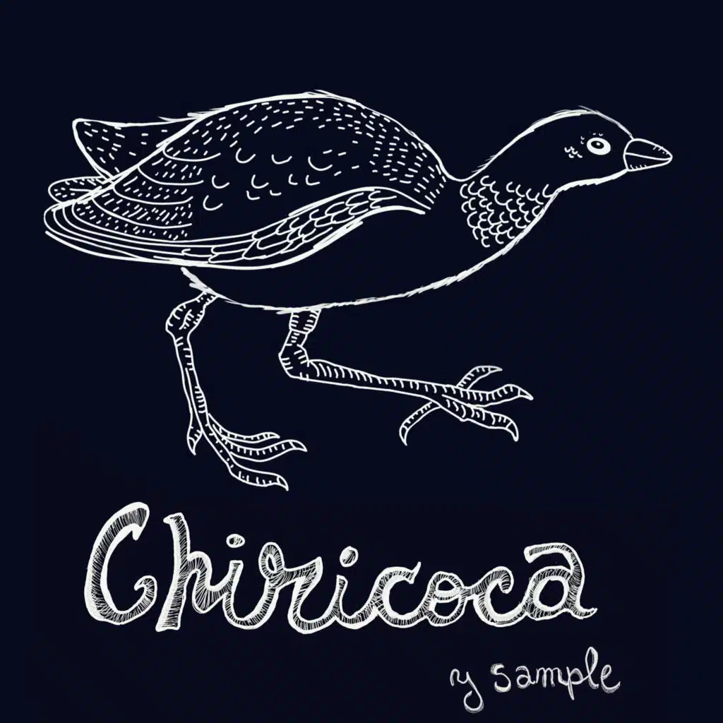 Chiricoca y Sample