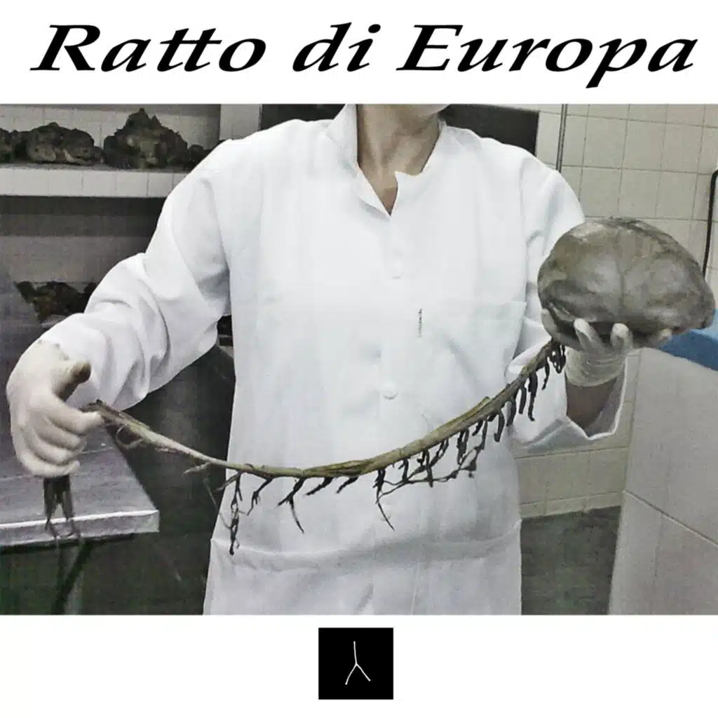Ratto di Europa
