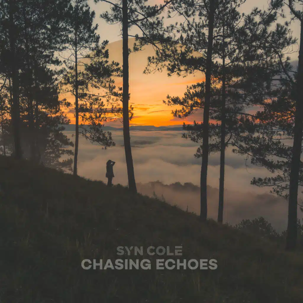 Chasing Echoes