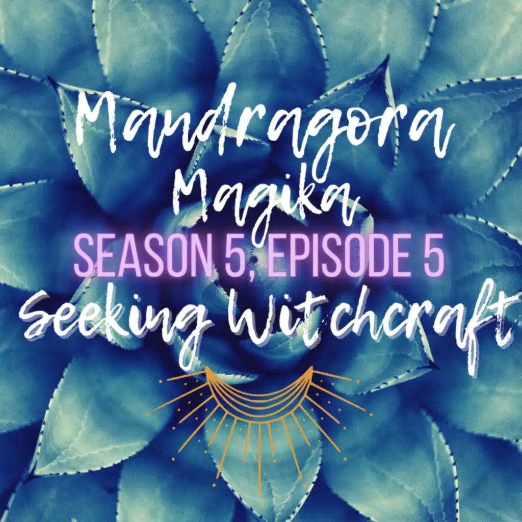 S5 Ep5: Mandragora Magika
