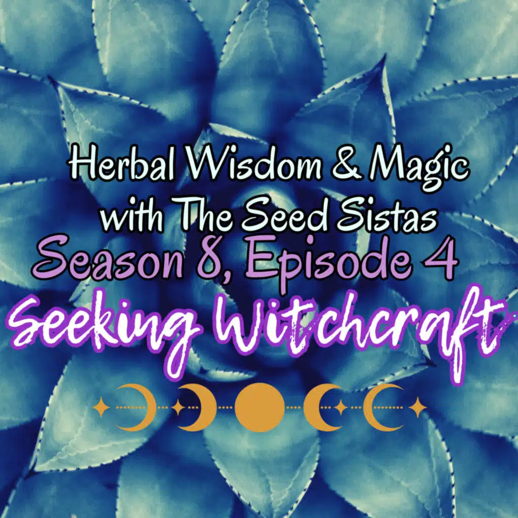 S8 Ep4: Herbal Wisdom & Magic with The Seed Sistas
