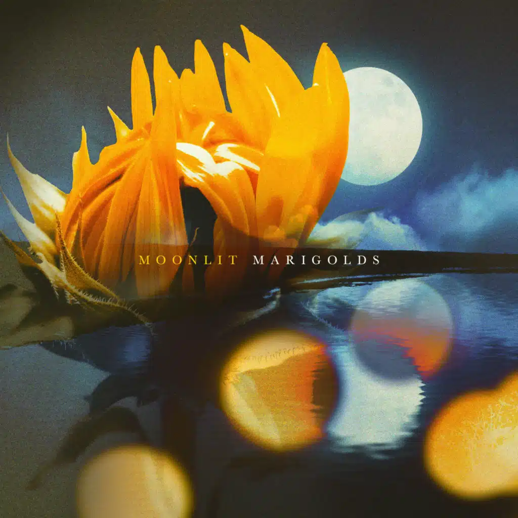 Moonlit Marigolds