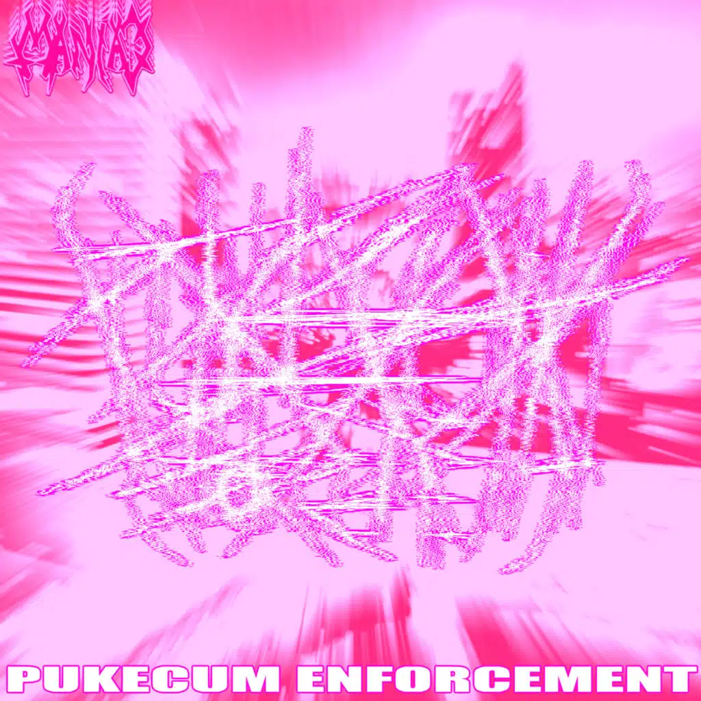 Pukecum Enforcement
