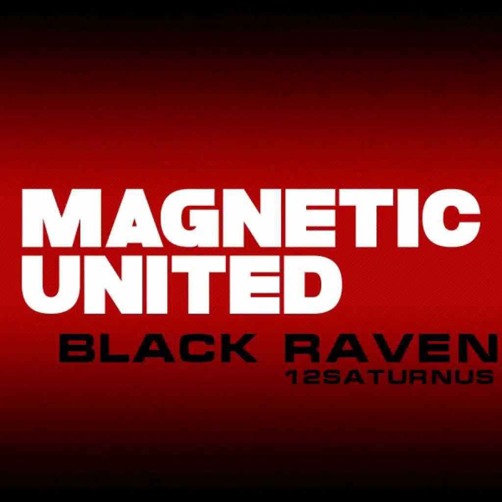 Black Raven
