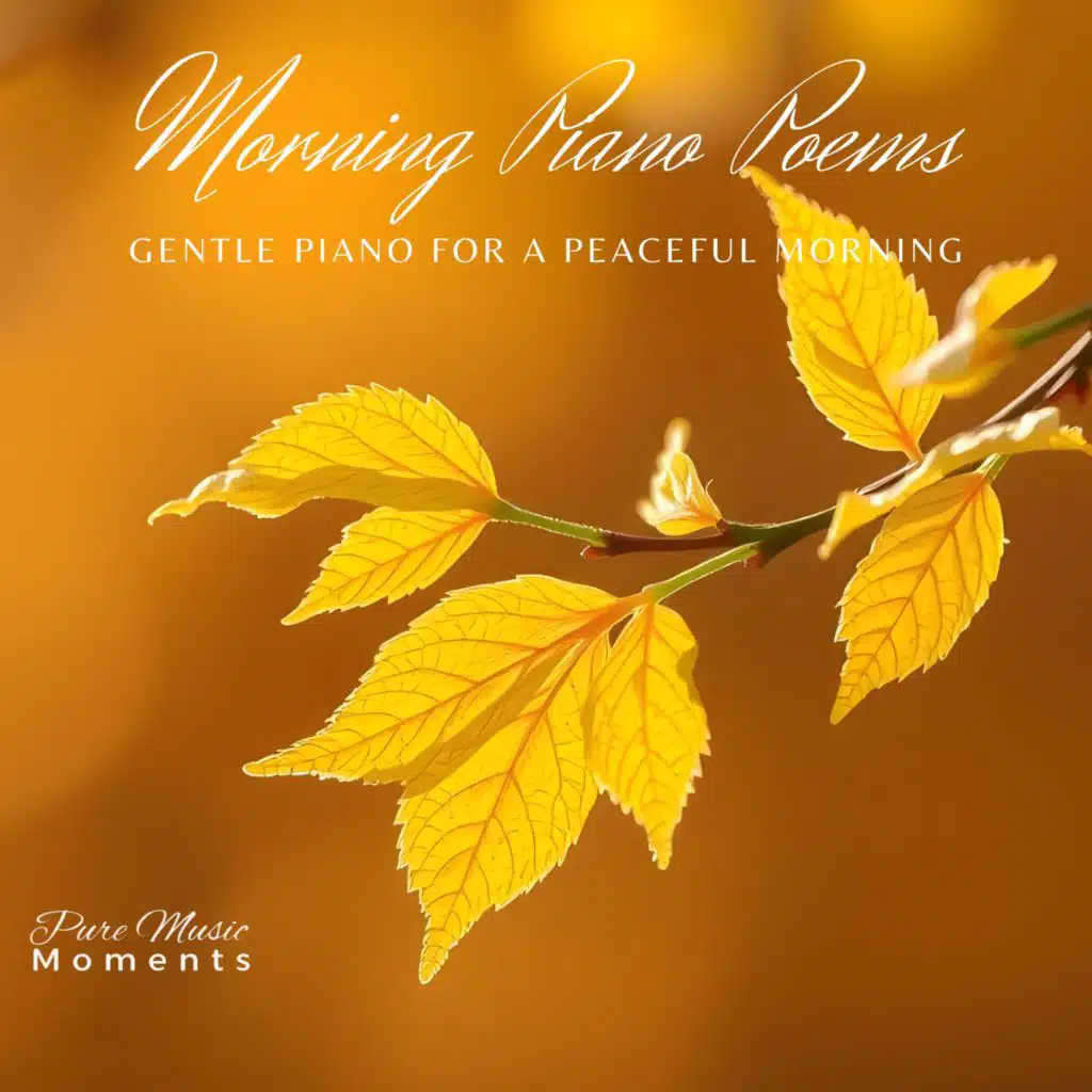 音樂時光 Pure Music Moments