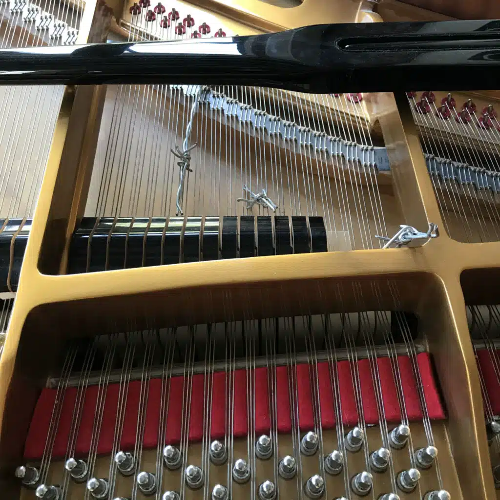 Quale patria per piano spinato (feat. Luca Olivieri)