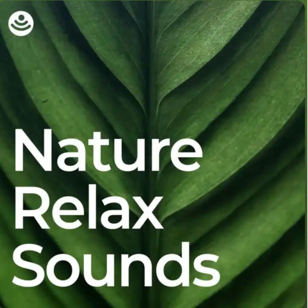 Serene Nature Ambience - No Fade, Loopable