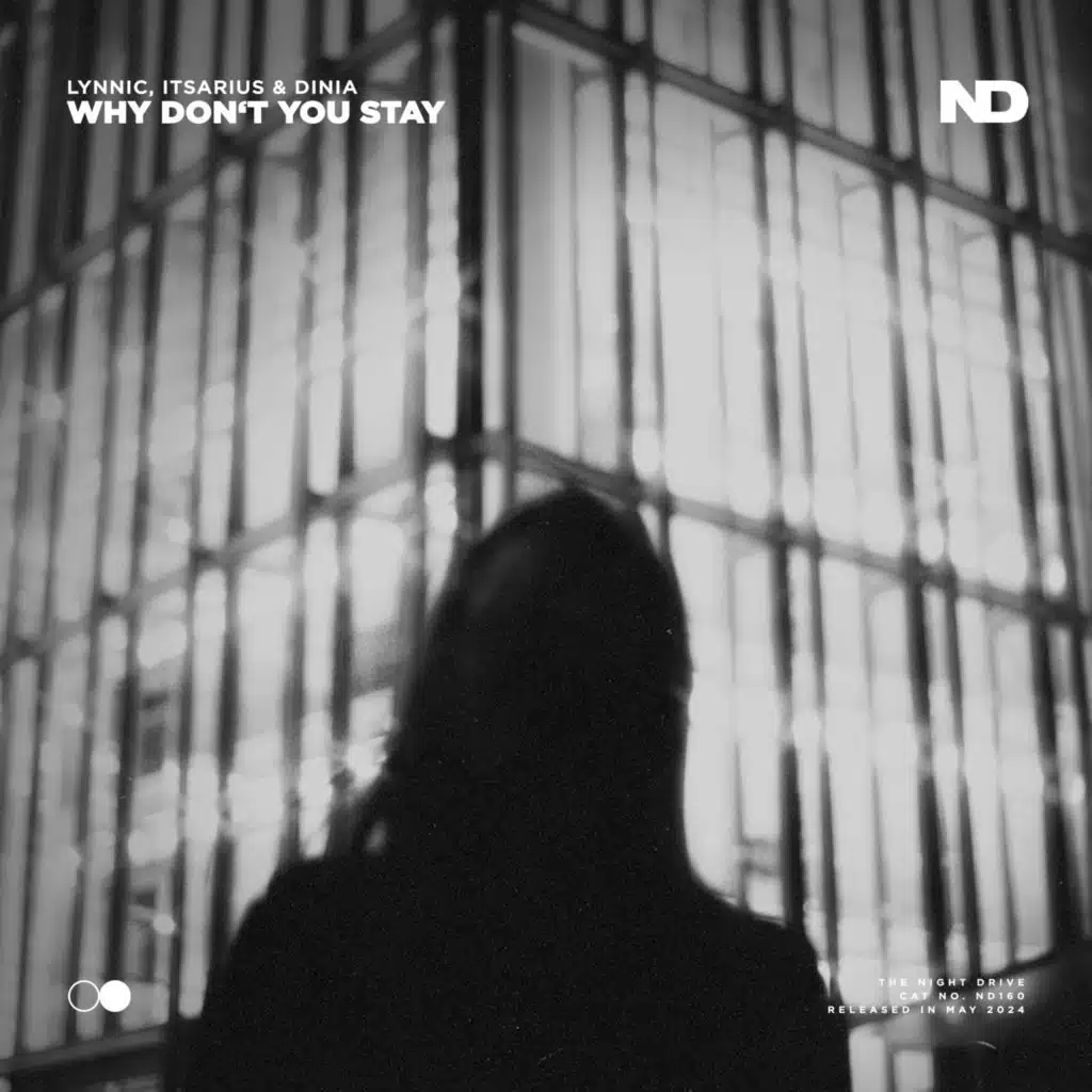 Why Don't You Stay (Extended Mix)