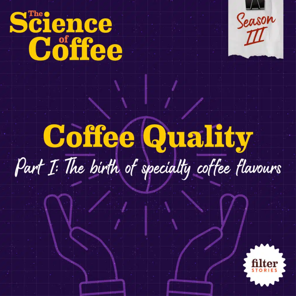 Coffee Quality, Part 1: The birth of specialty coffee flavours