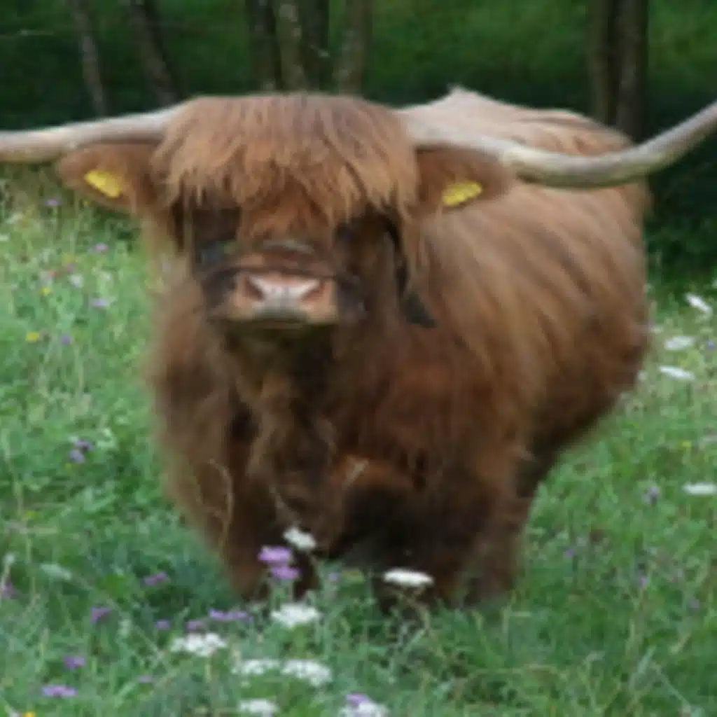 Early Intermediate Podcast 30 – Spanish Test of Your Listening Skills