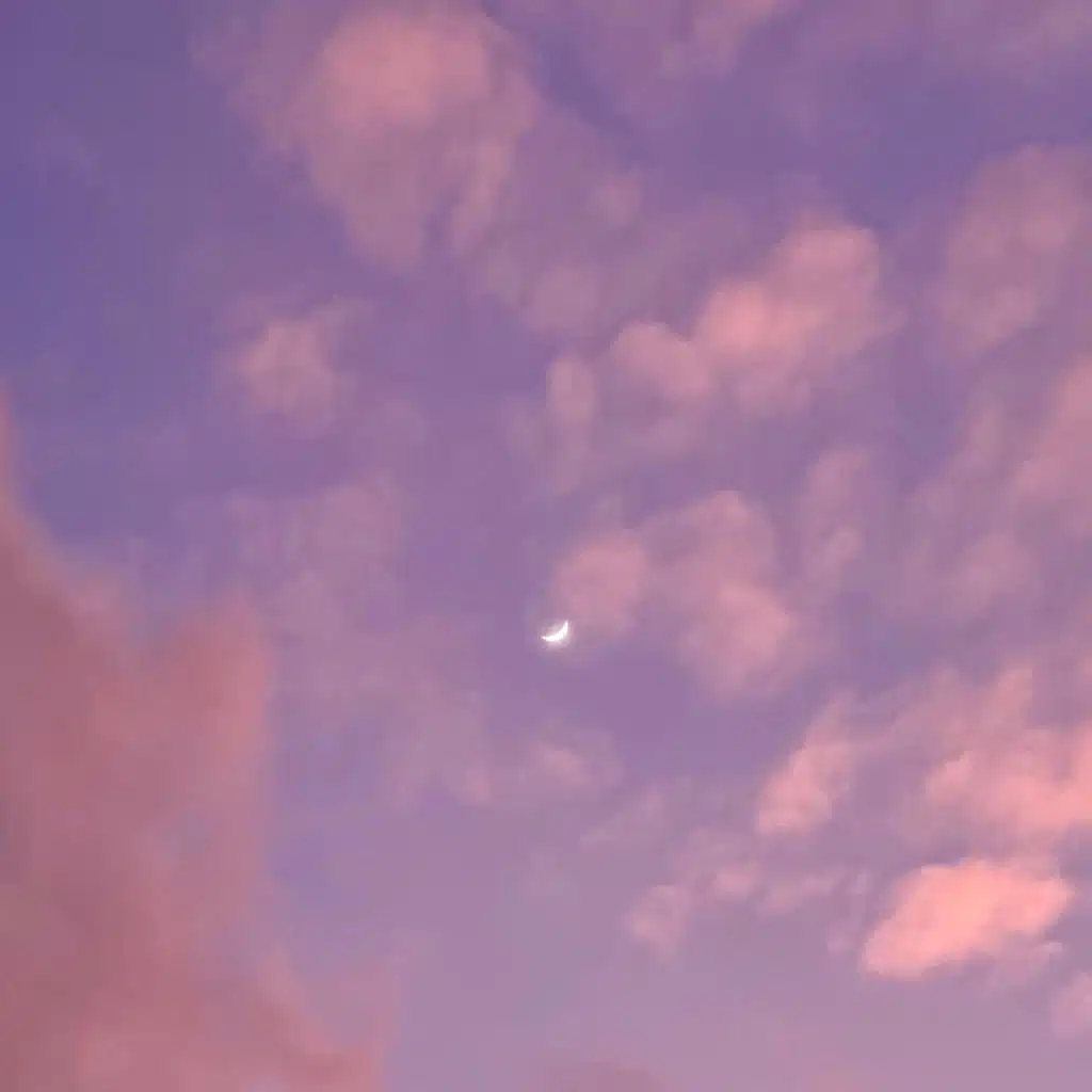 Fake Plastic Trees (feat. Clair Alexander)