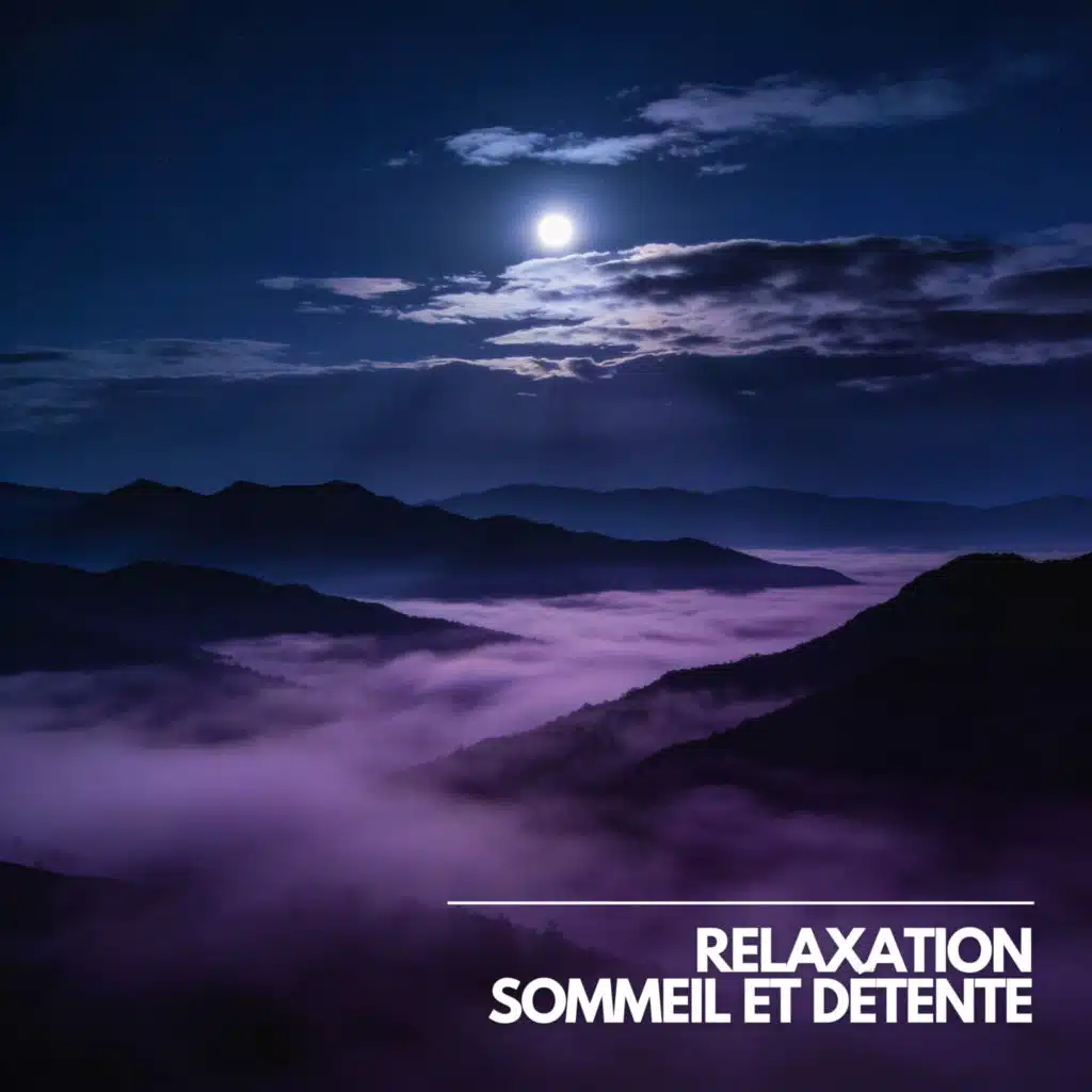 Musique Calme et Relaxation, Relaxation Sommeil et Détente & Musique de Relaxation