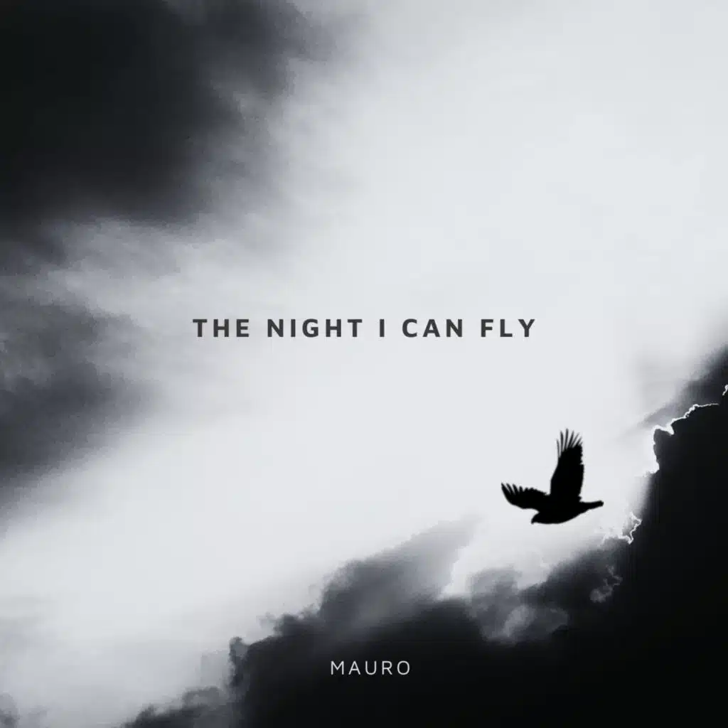 The Night I Can Fly