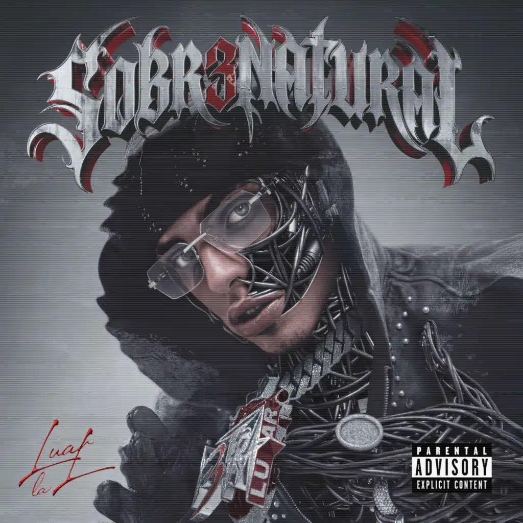 ⁠Historia De Un Gangster (feat. Juhn)