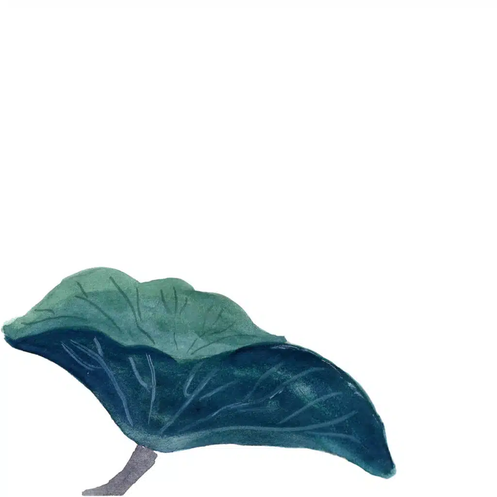 Reshabh Chhabra & Ekum