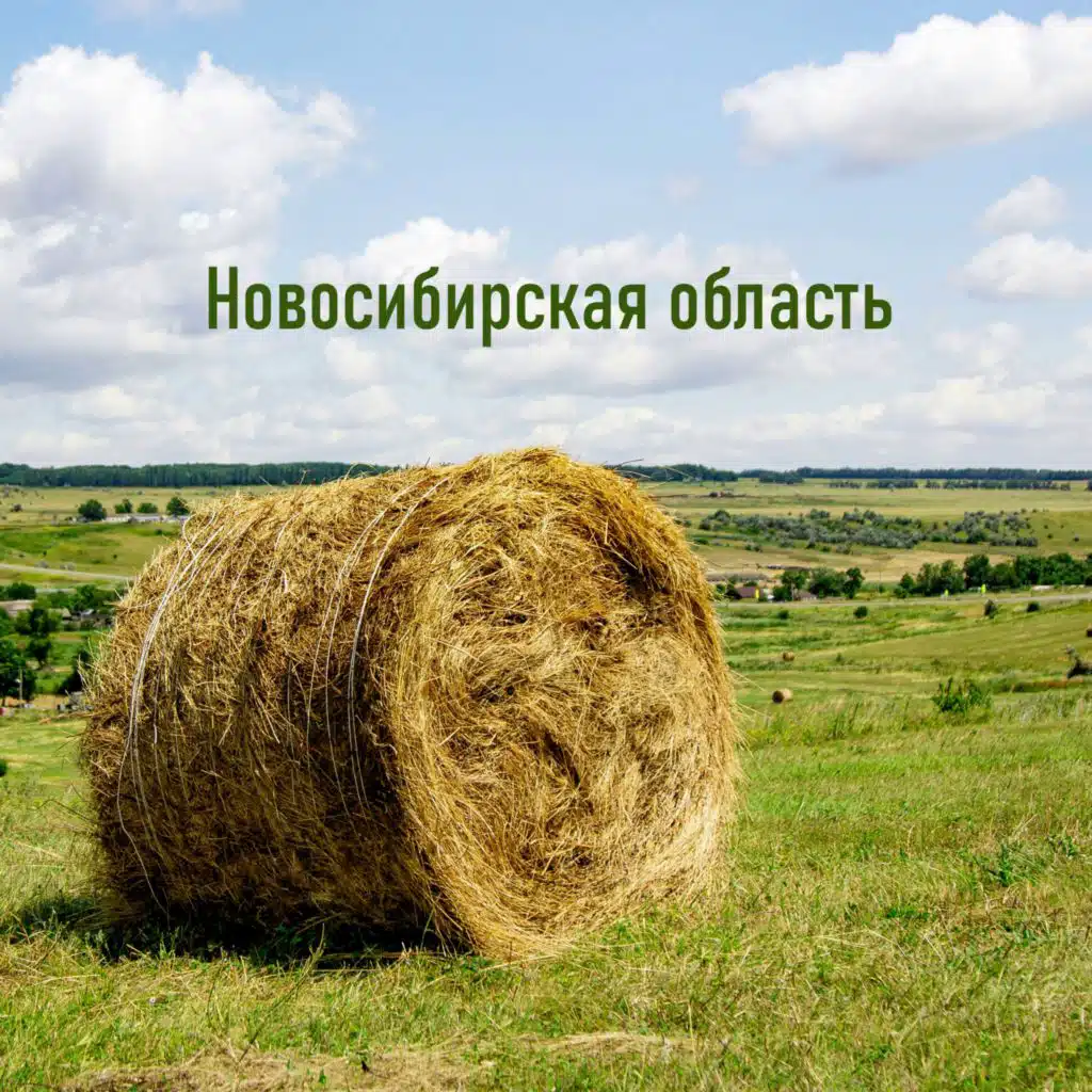 Дмитрий Филатов