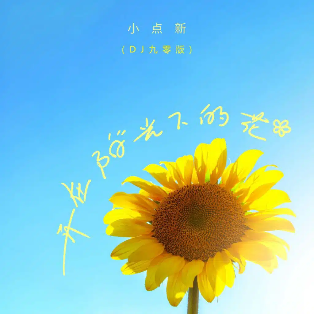 开在阳光下的花 (DJ九零版)