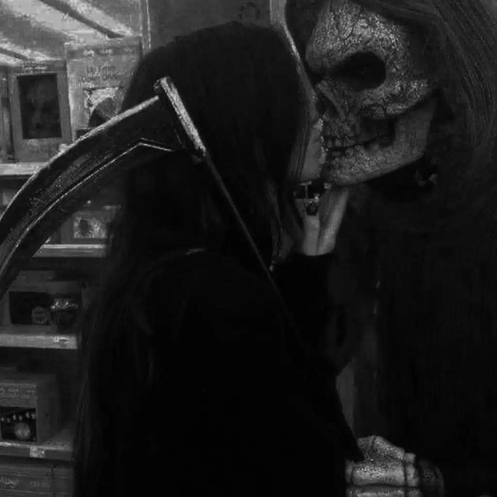 Plastic Butterflies & Super Pipo