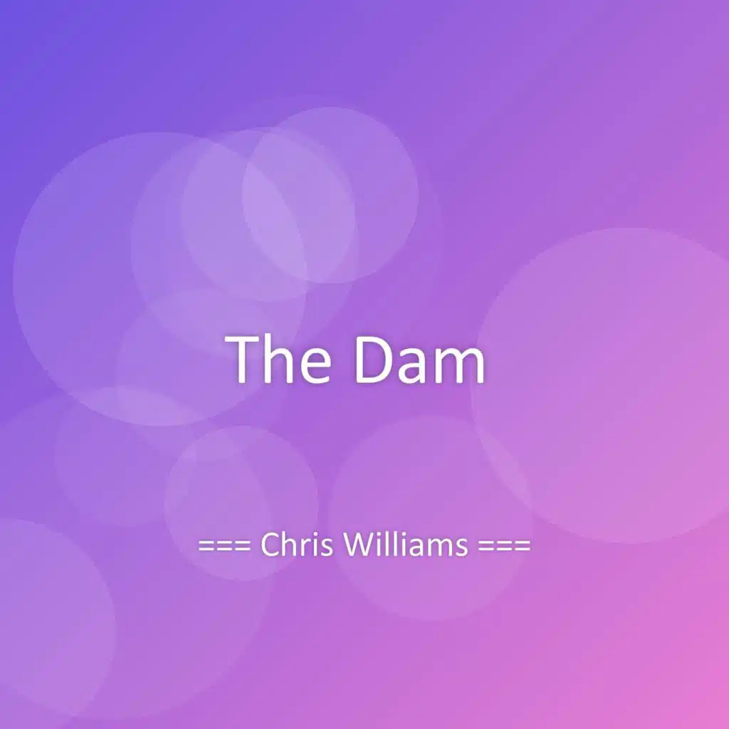 The Dam