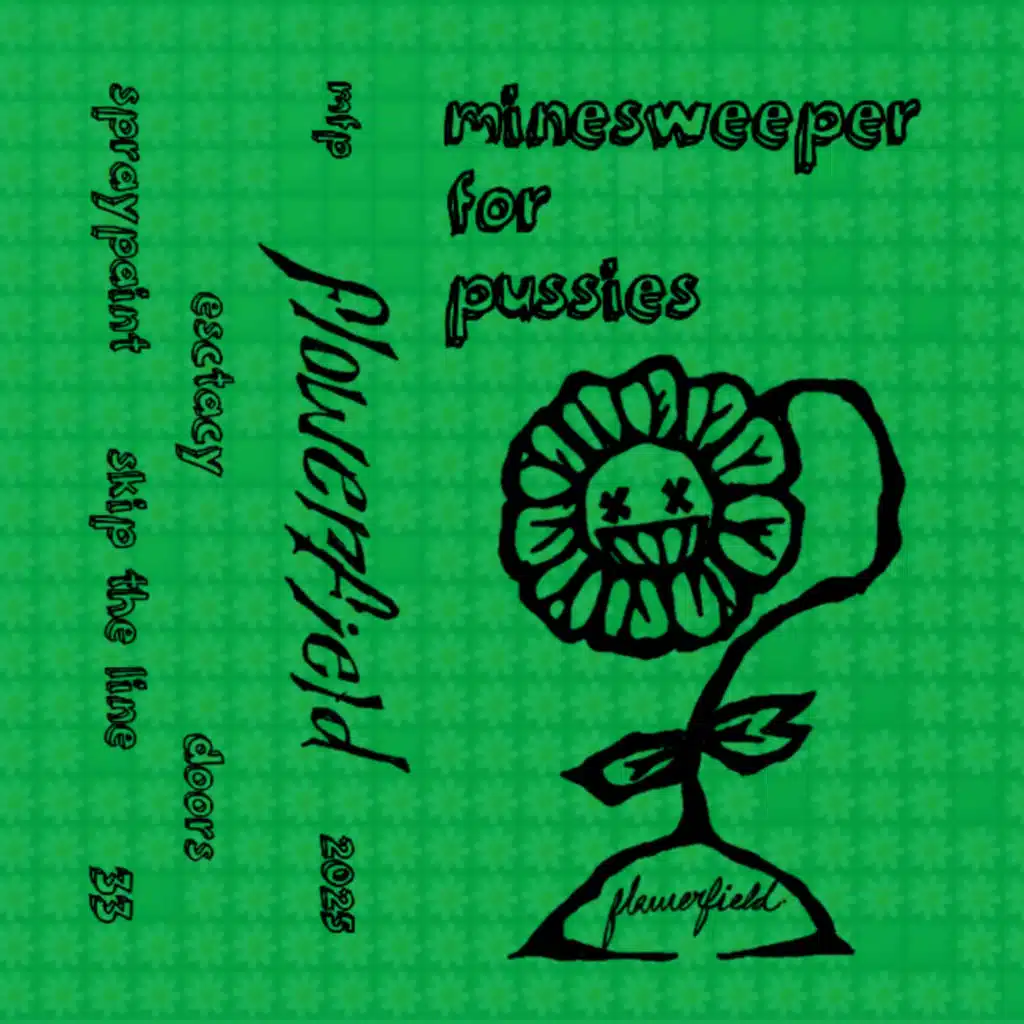 minesweeper for pussies