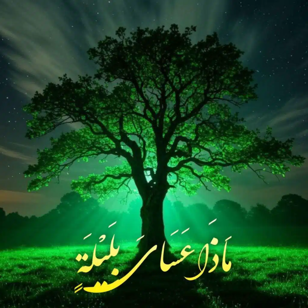 ماذا عساي بليلة