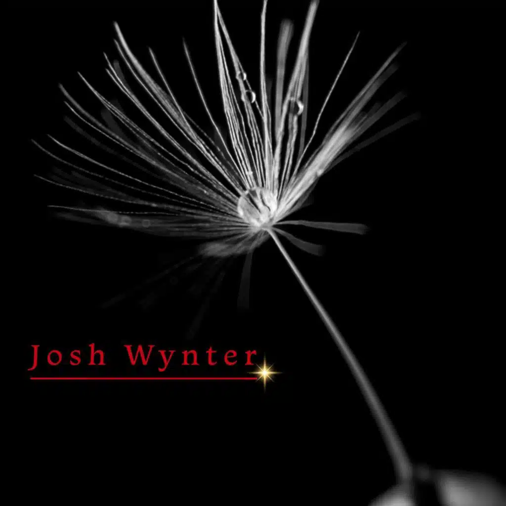 Josh Wynter