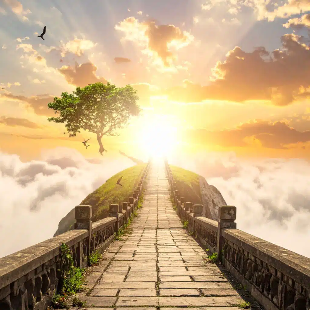 No Matter (feat. Snow)