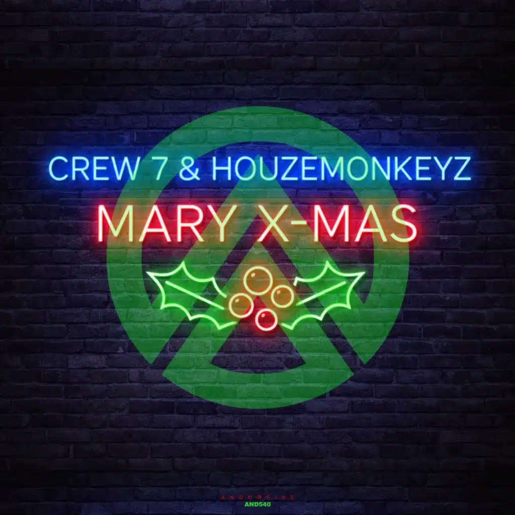 Mary X-Mas (Radio Mix)