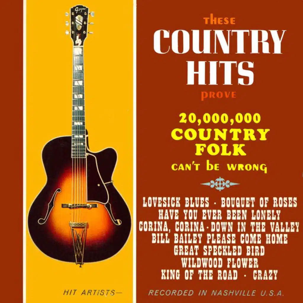 20,000,000 Country Folk Can't Be Wrong (Remastered 2016 - 2021 from the Original Somerset Tapes)