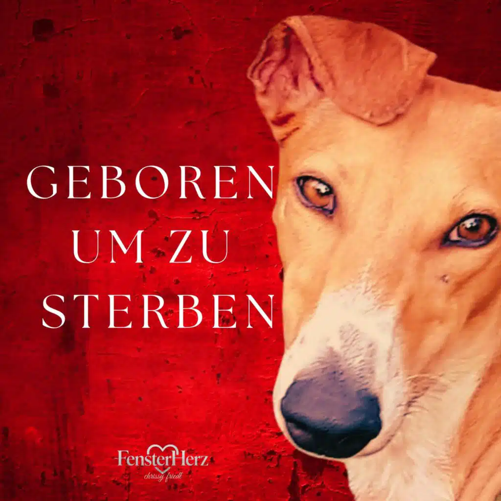 Geboren um zu sterben