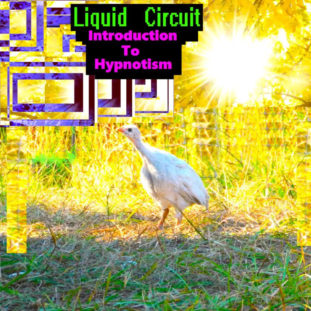 Liquid Circuit