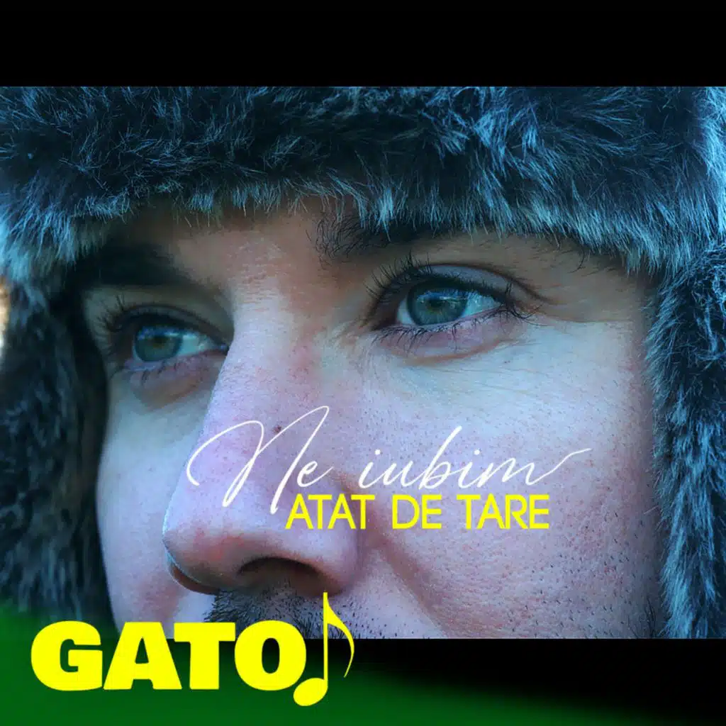 Gato