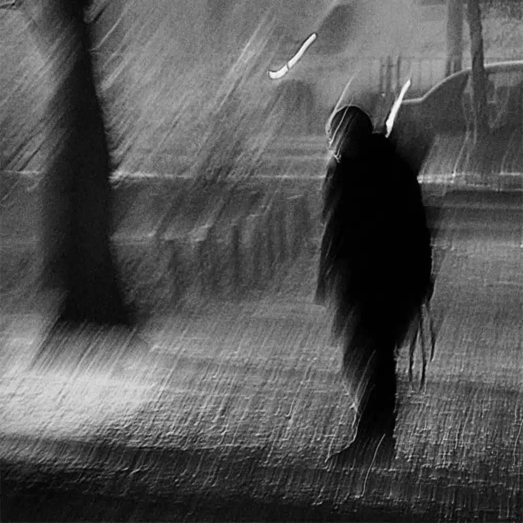 Where the Wind Takes Me