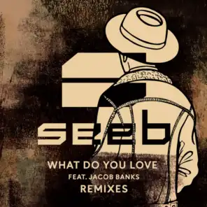 What Do You Love (Remixes) [feat. Jacob Banks]