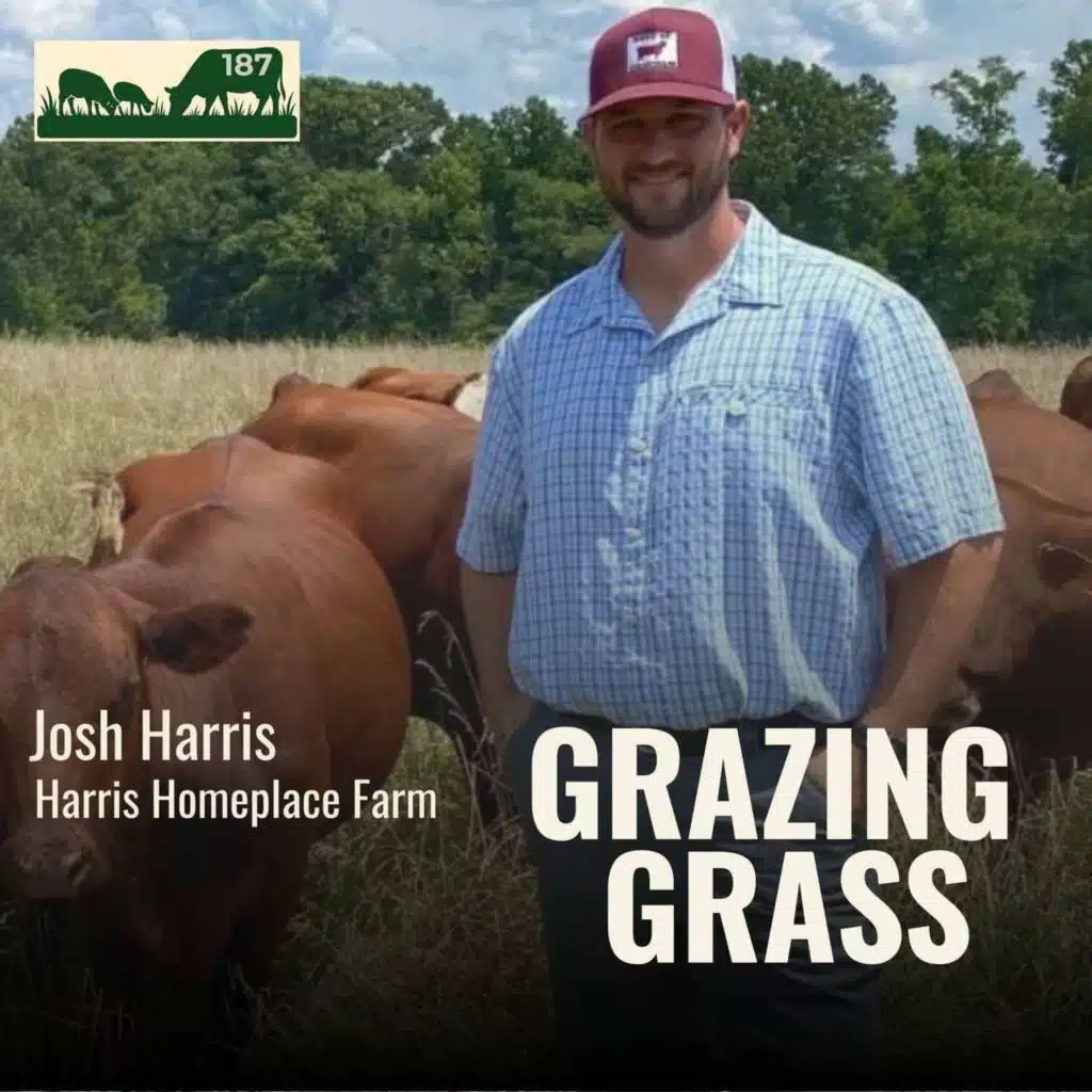 187. Raising South Poll Cattle & Direct-to-Consumer Beef with Josh Harris