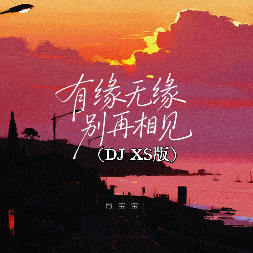 有缘无缘别再相见（DJ XS版）