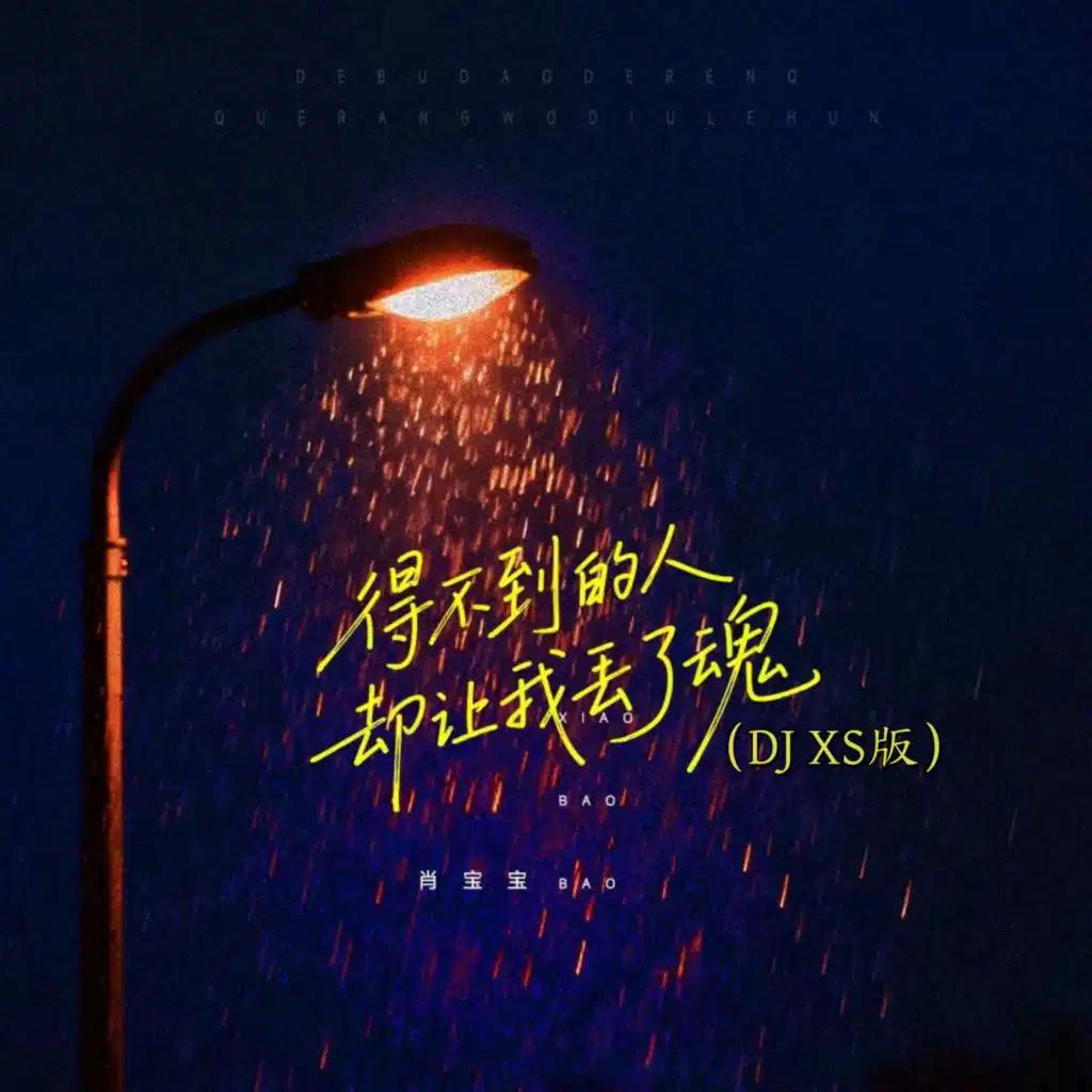 肖宝宝
