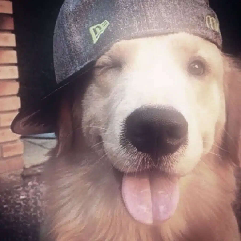 Super Shy (feat. R&Bboi)