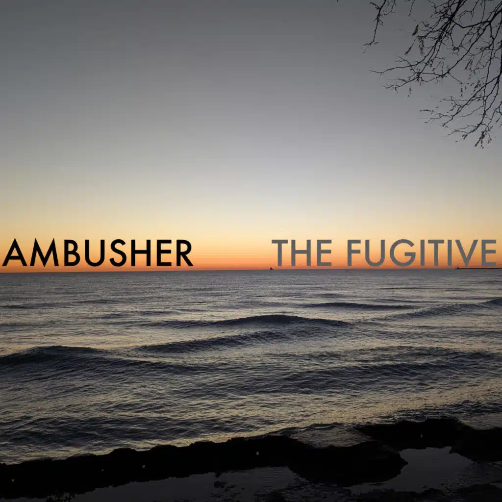 AMBUSHER