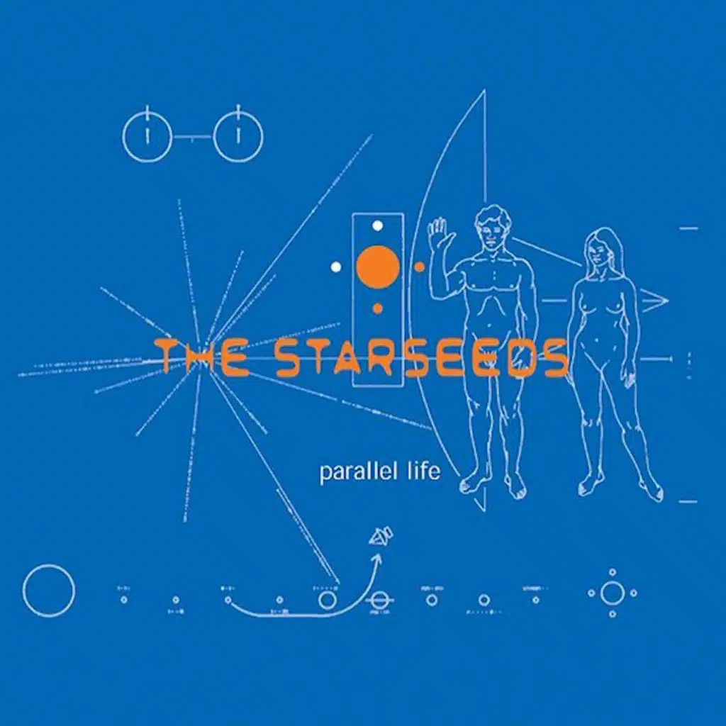The Starseeds