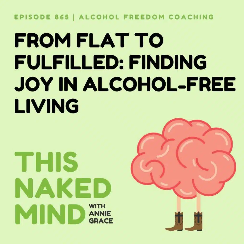 From Flat to Fulfilled: Finding Joy in Alcohol-Free Living | Alcohol Freedom Coaching | E865