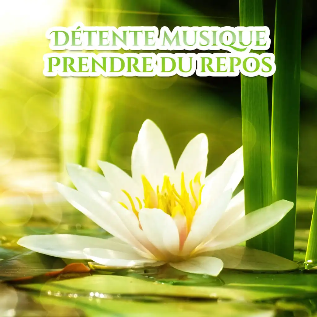 Détente musique: Prendre du repos - New age et zen pour la relaxation profonde, Yoga, Massage apaisant, Tai chi, Sons de la nature et orientale instruments