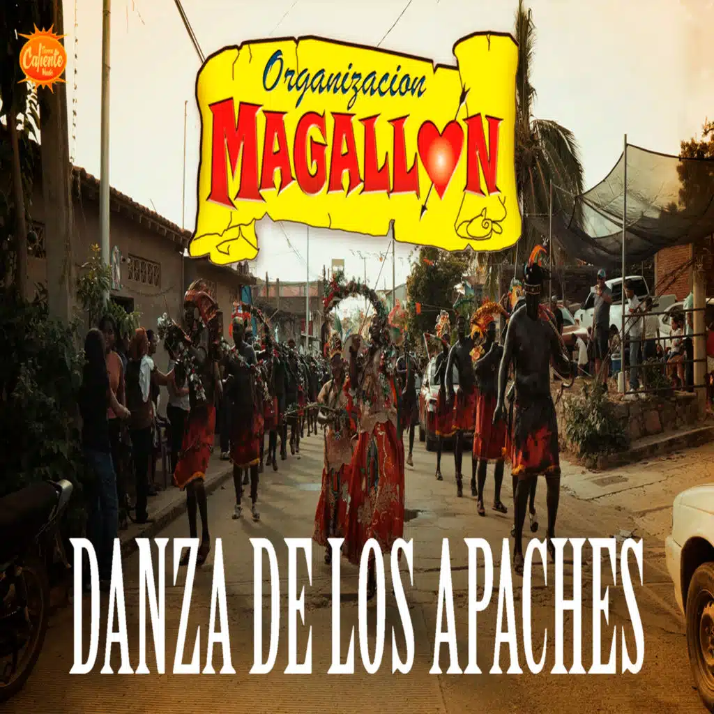 Organización Magallon