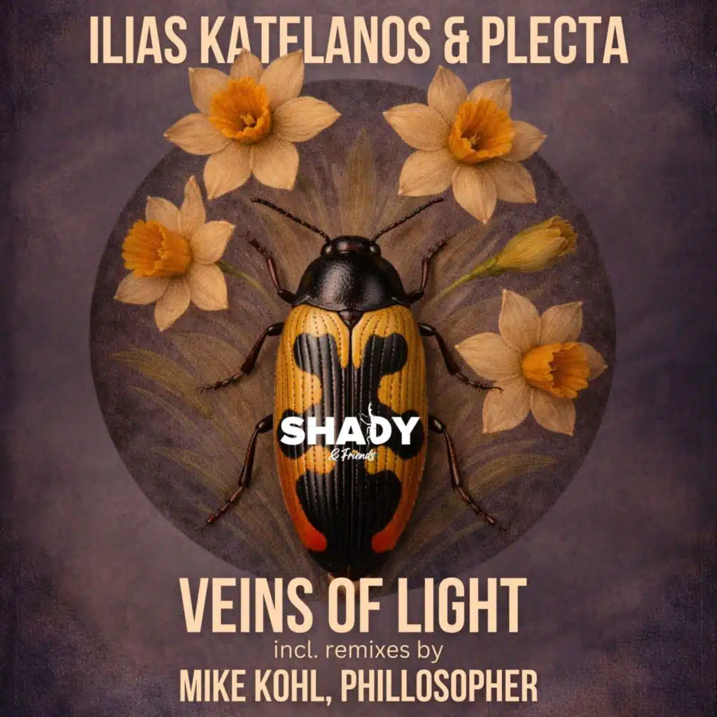 Veins of Light (Mike Kohl Remix)