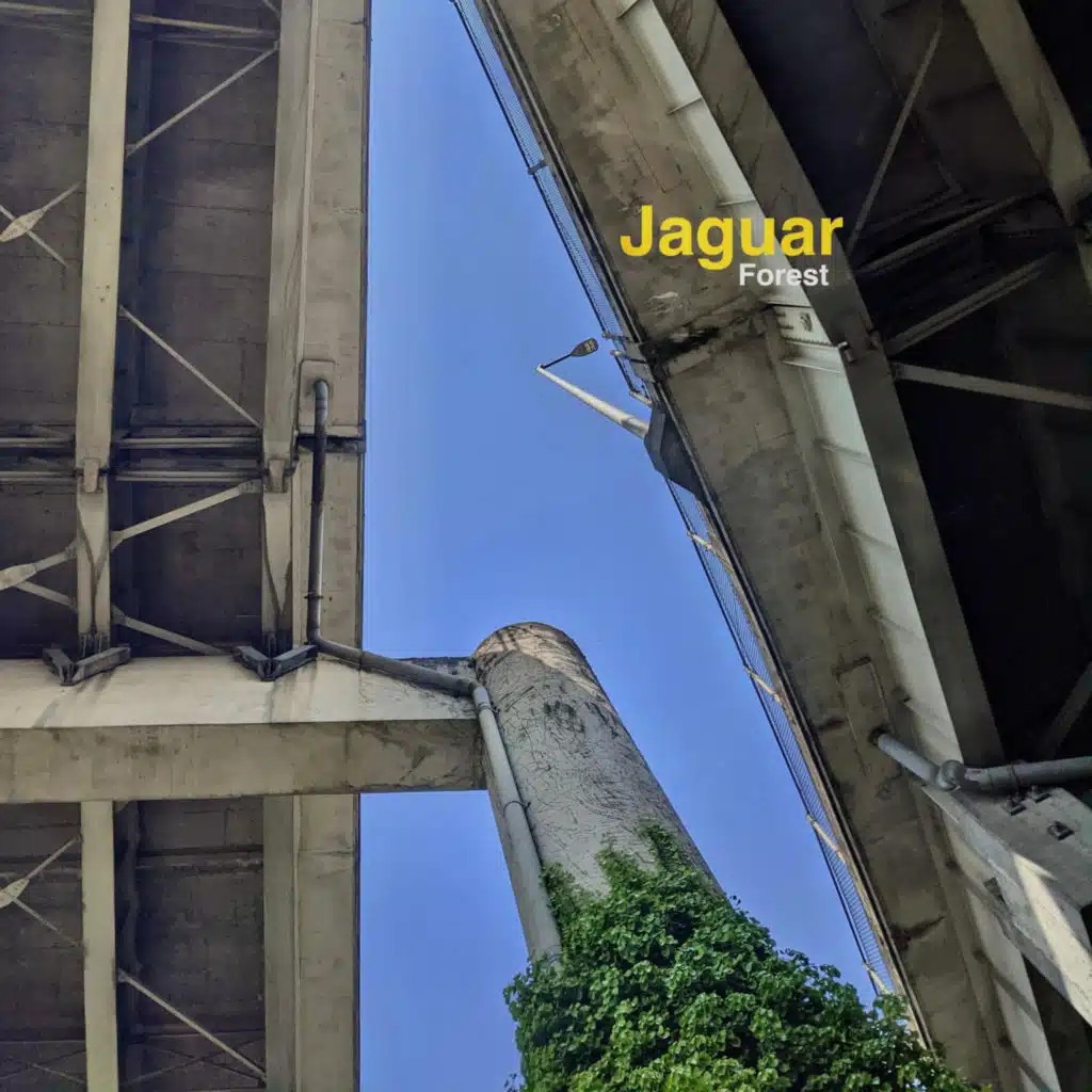 Jaguar