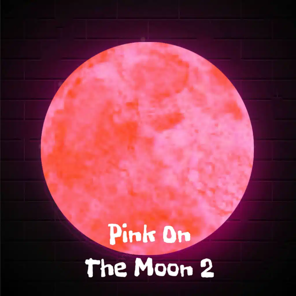 Pink on the Moon 2